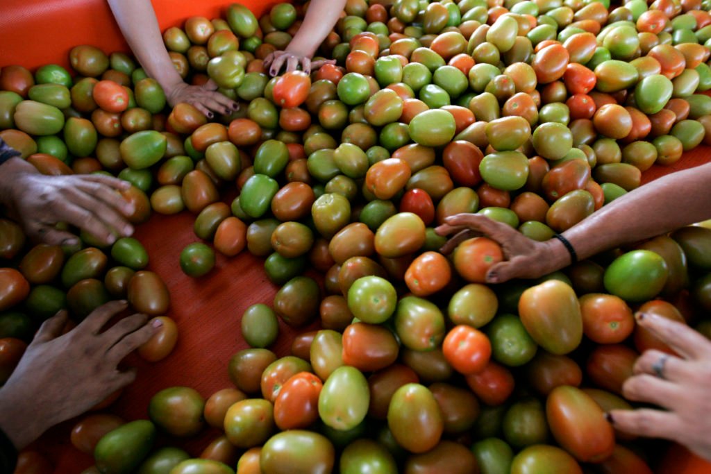 Tomato Tariffs and Trade: The Flavor of U.S.-Mexico Relations