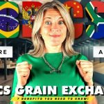 BRICS Plus Grain Exchange: A New Era in Global Food Security
