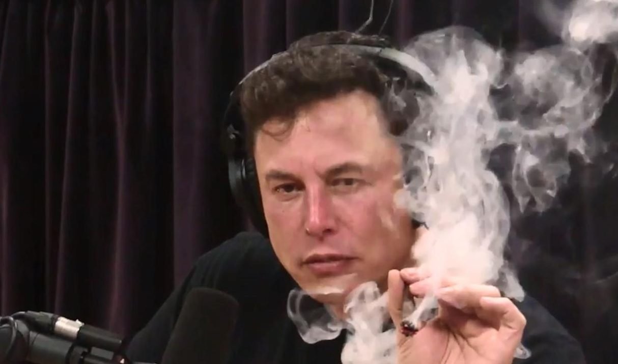 Elon Musk, Drug Rumors, and the Oval Office Circus: Unfiltered Reactions and Unlikely Stories