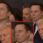 MUSK DRUGED