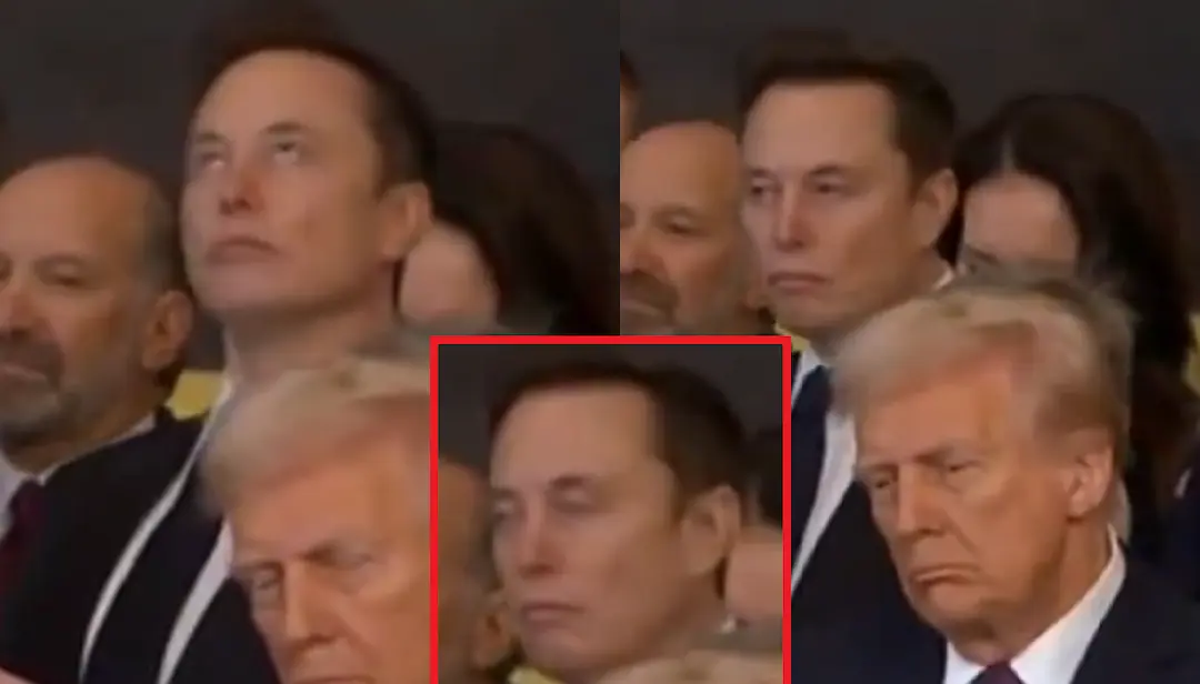 Beyond the Black Eye: Elon Musk, Drug Allegations, and the Blurred Lines of Power