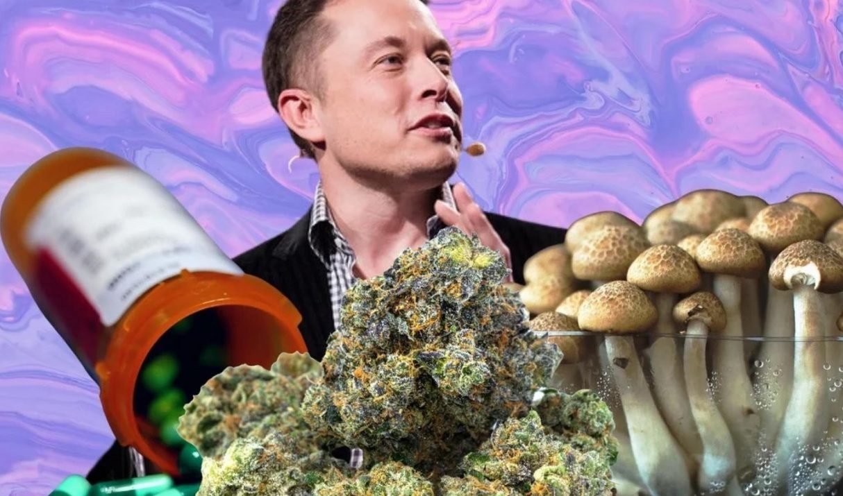Inside the Storm: Elon Musk, Drugs, and Power in the Age of Chaos