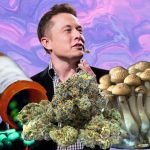 Elon Musk Drugs