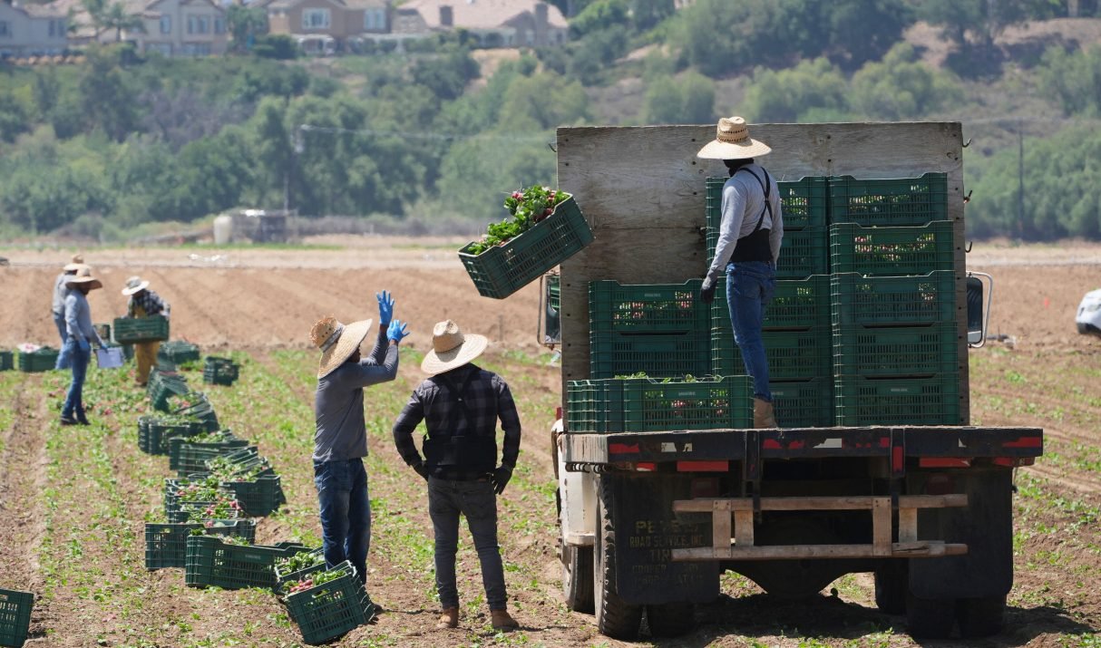 Workforce Packs Their Bags? Peeking Into the Unexpected Fallout of America’s Immigration Shift.