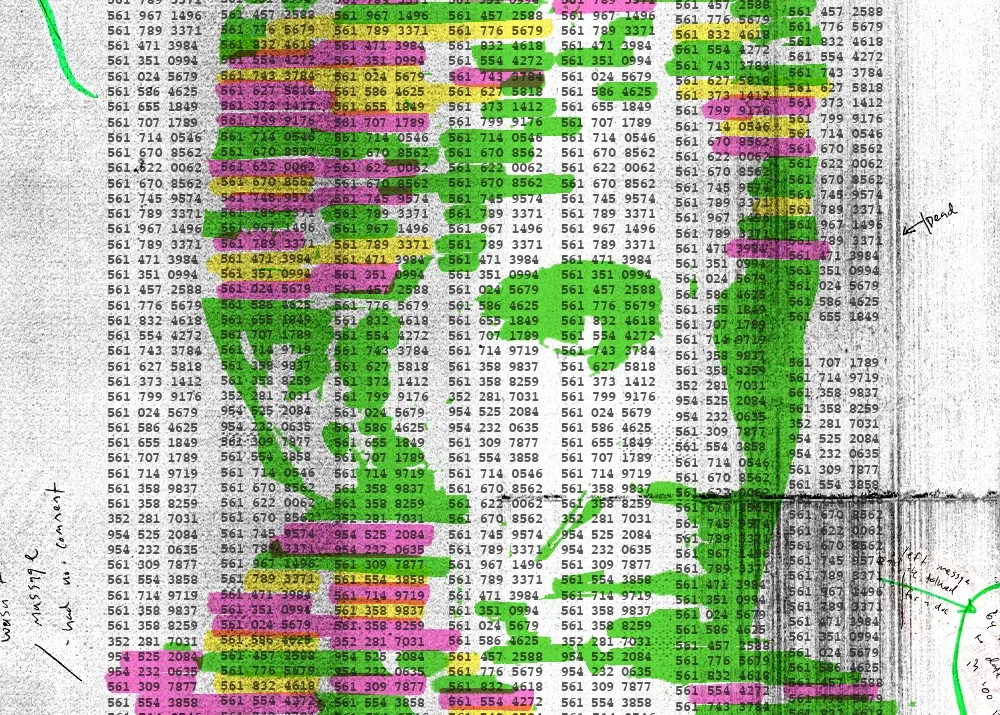 Exposed: Epstein Island Visitors Tracked by Cell Data.