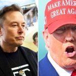 Trump,Maga, Musk