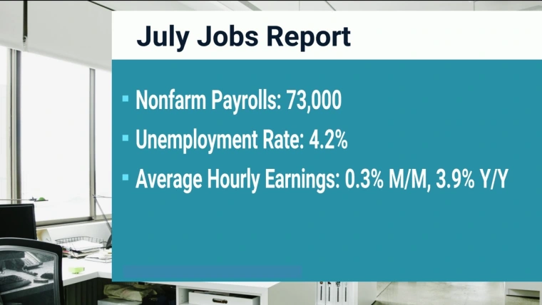 Employers Pull Back on Hiring as Uncertainty Weighs on Plans: A Human Take on US Job Market Woes, 2025.